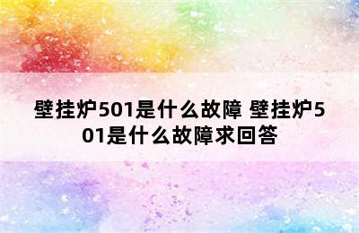 壁挂炉501是什么故障 壁挂炉501是什么故障求回答